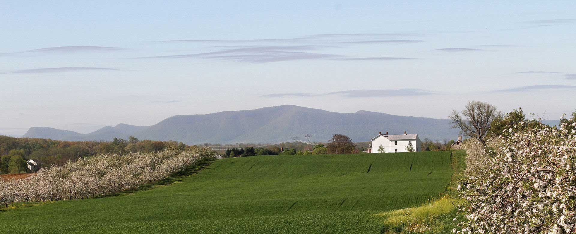 Rolling hills and farmland of Frederick County Virginia where county initiatives shape the community